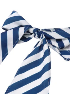 [Pre-Sale] 2PCS Blue 1940s Stripe Halter Romper & Skirt -Women's Fashion Sales SCHL004006 4 80703b47 5b6b 4a28 9c7c a6347dad6f2e