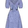Blue 1950s Striped Raglan Square Neck Smocked Dress -Women's Fashion Sales SCHL004061 3